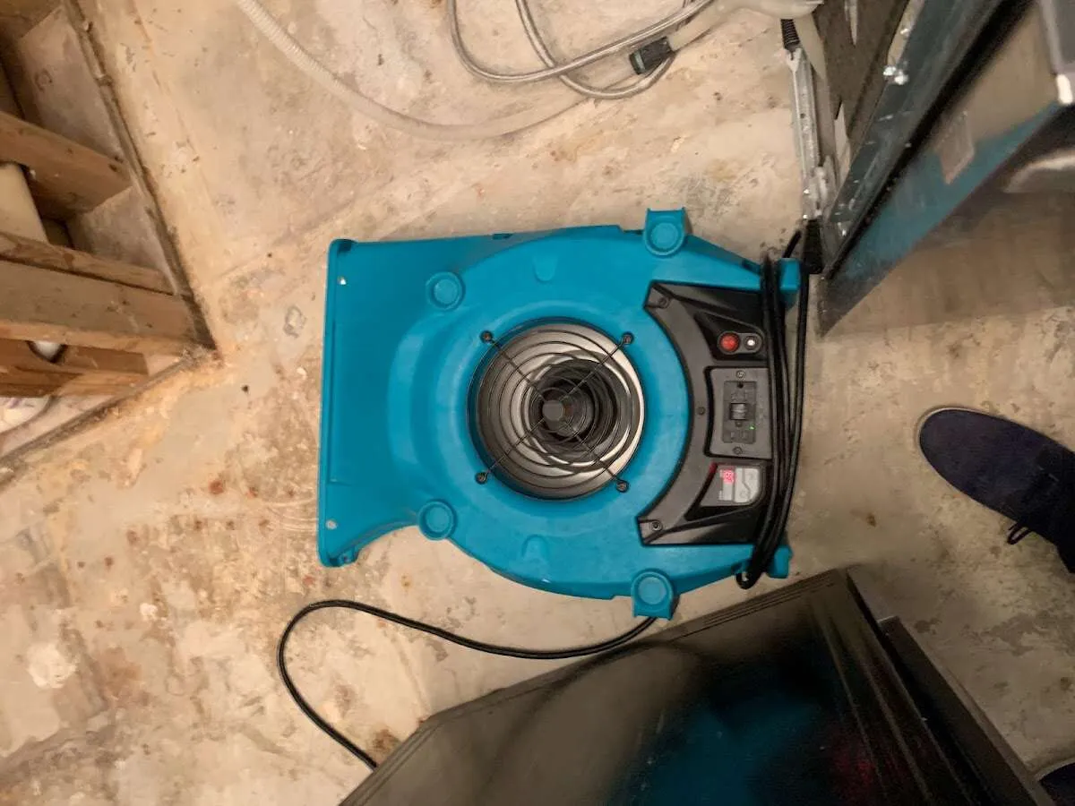 Air mover drying equipment for Mold Remediation & Removal in Buffalo Grove